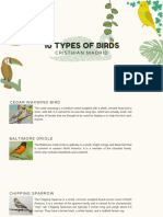 10 Types of Birds