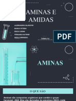 Aminas-Amidas BT2023