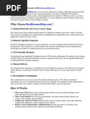 Power Bi Developer Resume