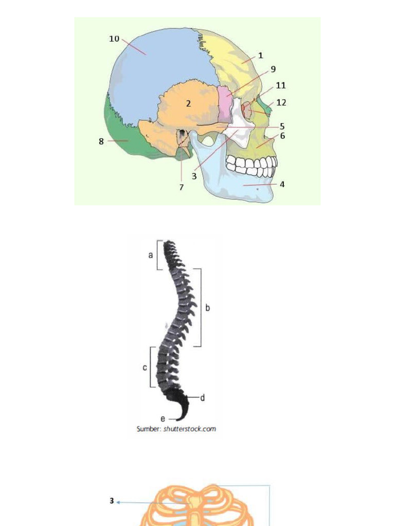 Gambar Rangka | PDF
