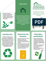 Triptico Verde DPCC