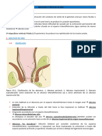 Abscesos y Fístulas de Ano