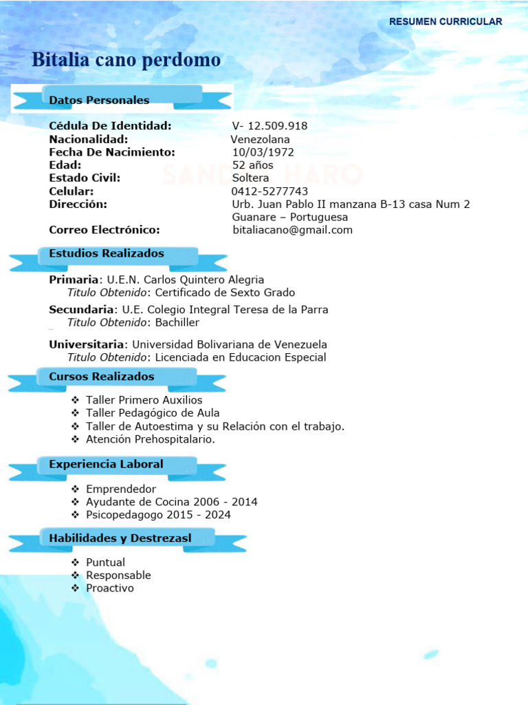 Resumen Curricular Formato Nuevo - 1719768653