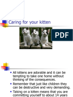Lecture 14 (Caring For Your Kitten)