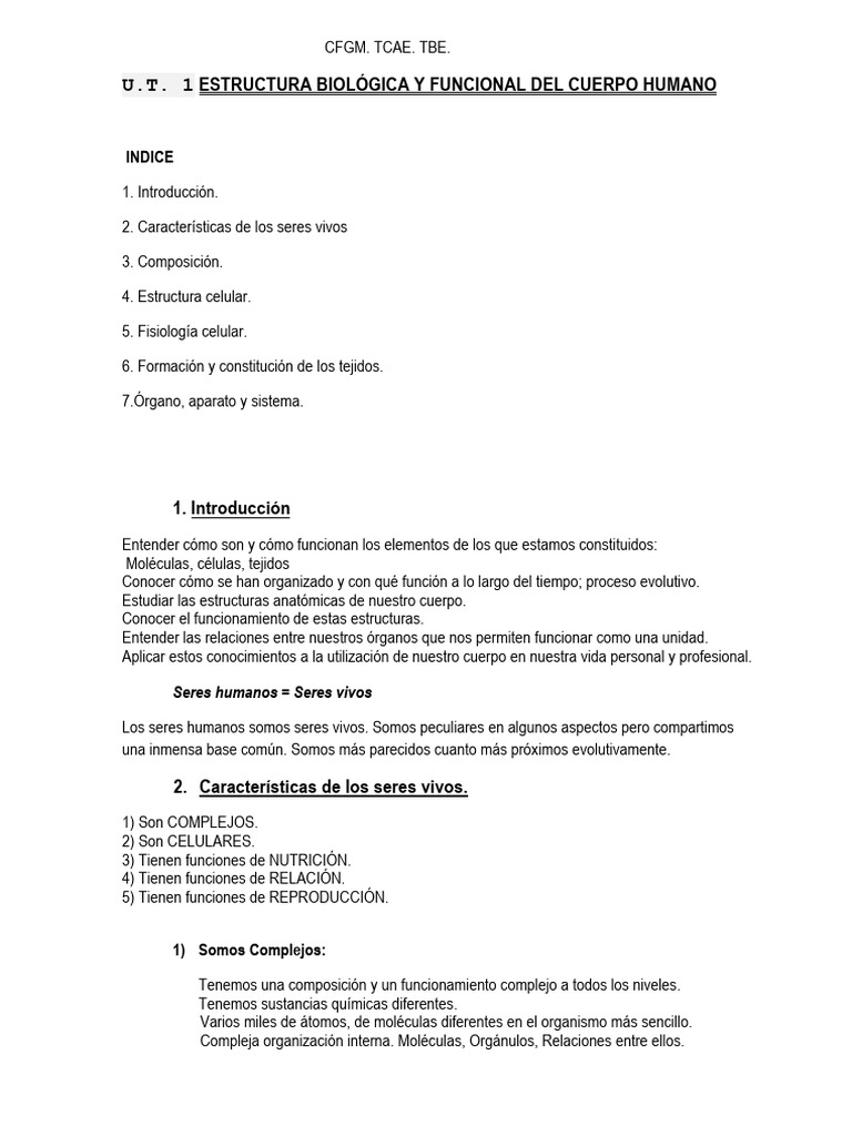 UT 1. Apuntes. Estructura Biológica y Funcional Del Cuerpo Humano | PDF ...
