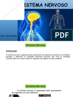 Sistema Nervoso