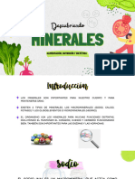 Presentación de Minerales Exposición