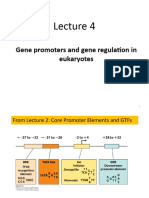 F22 MCB 2050 Lecture 4 - Gene Regulation