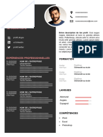 113 Modele CV Infographiste