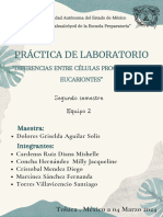 Practica de Laboratorio - Equipo 2