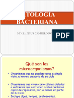 Citologia Bacteriana 3