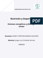 1.5 - Ev 2 - Cuadro Sinóptico Sistemas Energéticos y Fisología Celular