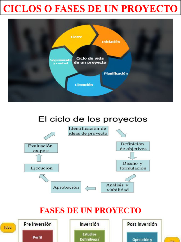 2a A Presentación Ciclo de Un Proyecto | PDF