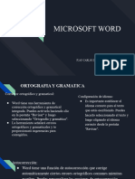 Microsoft Word