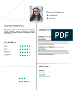 142 Curriculum Vitae Peru