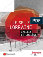 Extrait Livret Peda Sel en Lorraine Feuilletage1