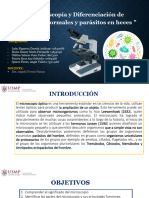 Microscopia y Diferenciacion de Element