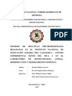 INFORME DE PRACTICAS PREPROFESIONALES - EMANUEL VILCHEZ GUEVARA (Reparado)