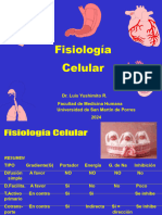 Fisio Celular - 2dos Mensajeros