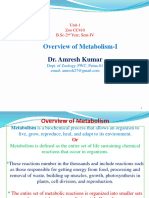 Stages of Metabolism I-converted