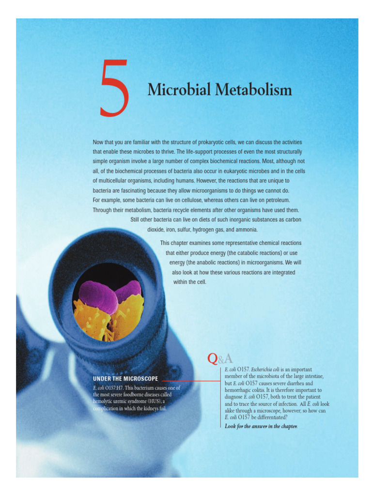 Understanding Microbial Metabolism | PDF | Enzyme | Enzyme Inhibitor