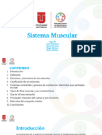 Sistema Muscular Cipa #9