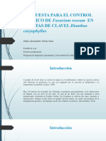 PROPUESTA PARA EL CONTROL QUÍMICO DE Fusarium Roseum