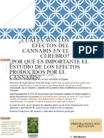 Cuales Son Los Efectos Del Cannabis en El Cerebro