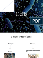 Prokaryotic and Eukaryotic Cells