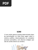 Conceitos Fundamentais sobre Som | PDF | Som | Ondas