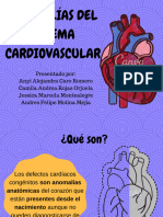Anomalias Del Sistema Cardiovascular