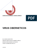 Virus Ciberneticos
