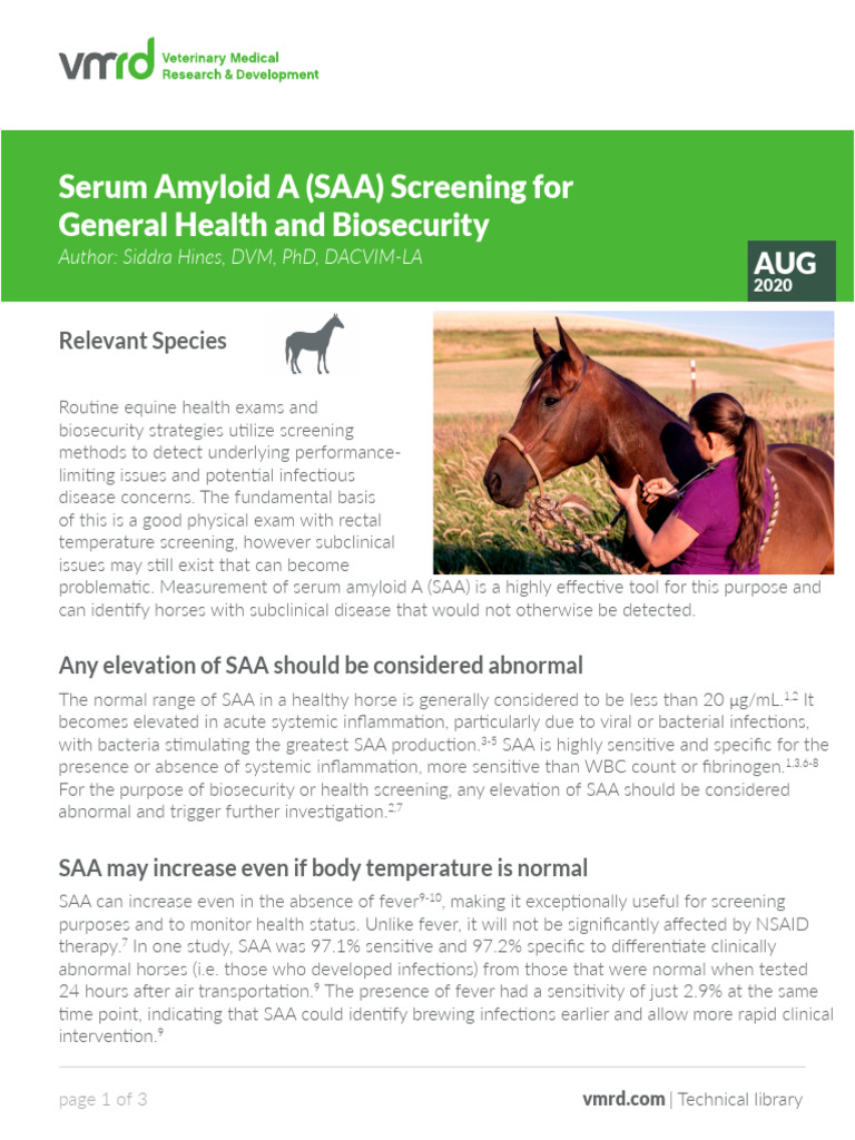 Equine SAA Screening Guide | PDF | Infection | Screening (Medicine)