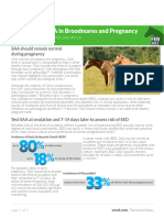 SAA in Broodmares and Pregnancy v3-2