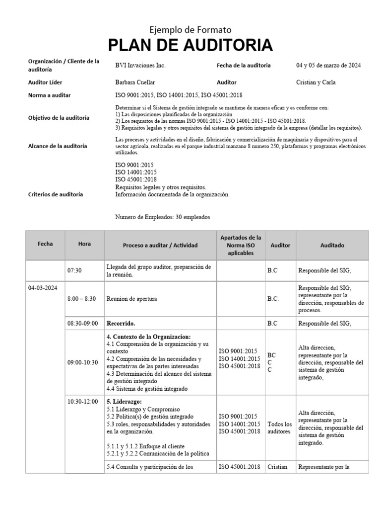 Ejemplo de Plan de Auditoría ISO | PDF | Auditoría | Planificación
