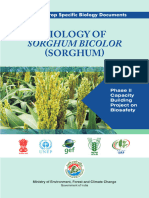 8 Biology of Sorghum Biocolor Sorghum