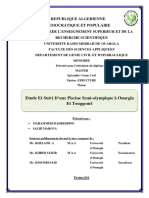 Etude Et Suivi D’Une Piscine Semi-olympique à Ouargla Et Touggourt