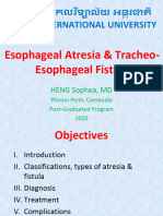 Esophageal Atresia & Tracheo-Esophageal Fistula: HENG Sophea, MD