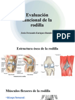 Evaluación Funcional de La Rodilla