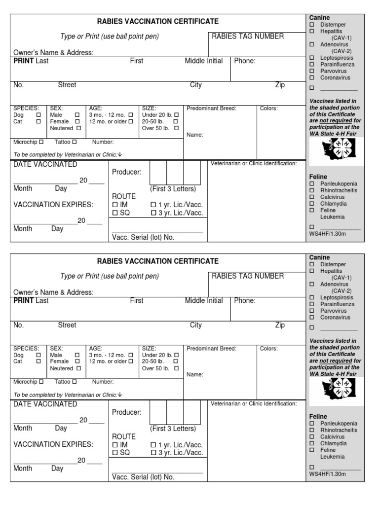 Dog Rabies Vaccination Certificate | PDF | Virus | Animal Viral Diseases