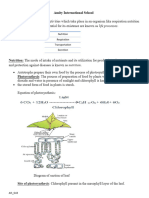 Autotrophic Nutrition Handout-2