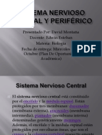 Sistema nervioso central y sus partes