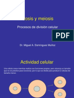 Mitosis y Meiosis