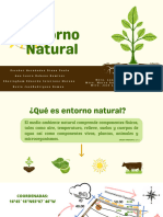Entorno Natural (2) - 1