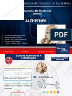 Alzheimer (1) 2