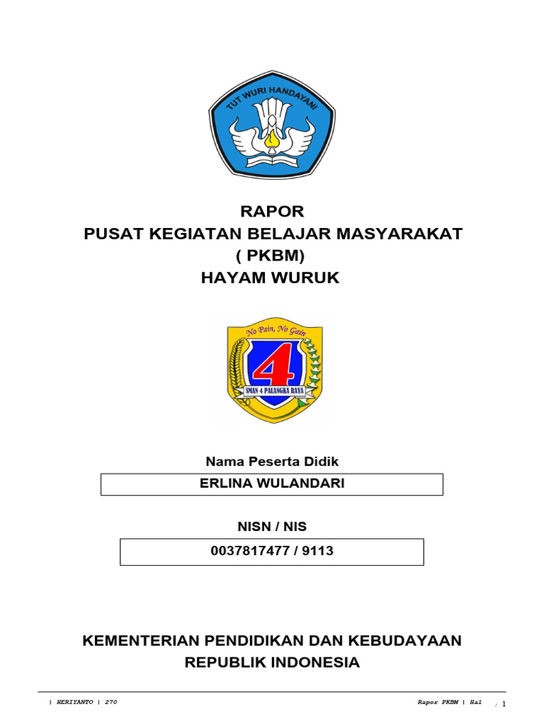 Format Raport | PDF