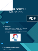 Biological Magnets