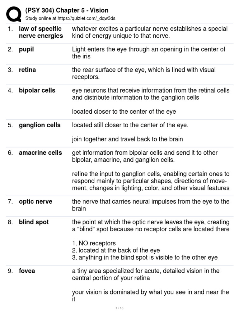 Understanding Vision: Nerve Energies Explained | PDF | Color | Visual ...