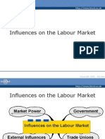 Influences On The Labour Market