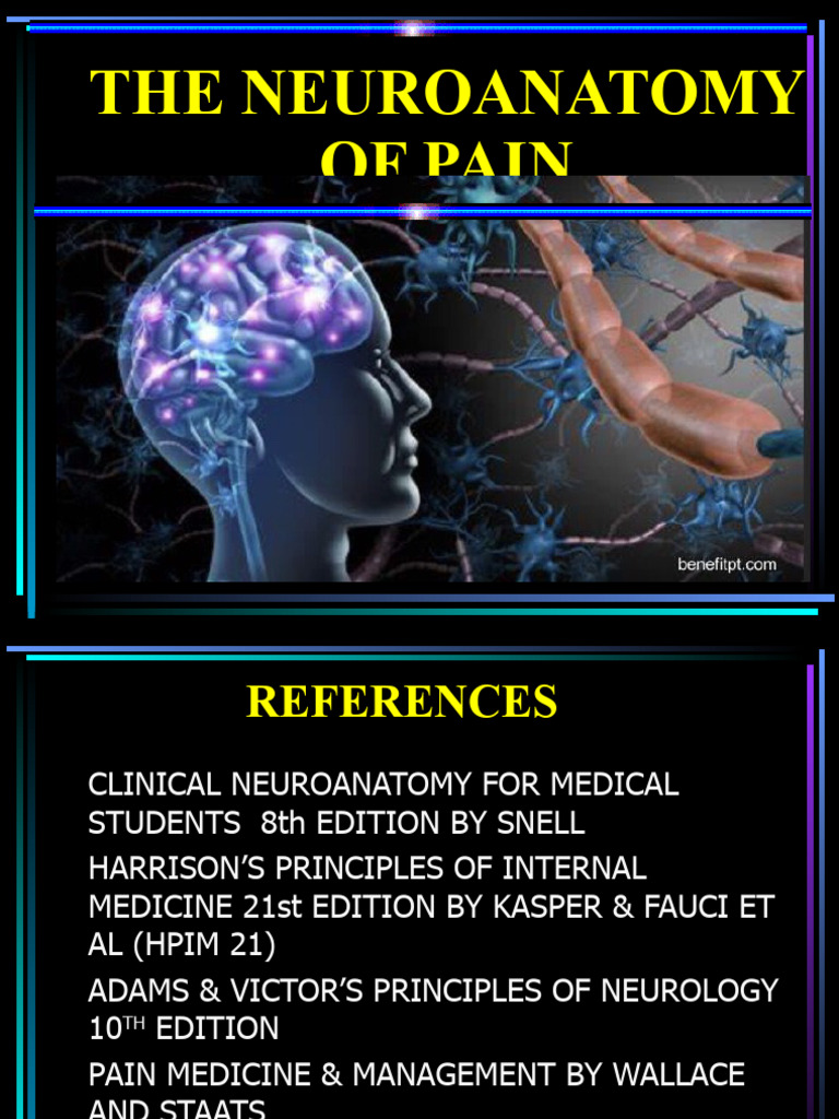 Neuroanatomy of Pain | PDF | Pain | Stimulus (Physiology)